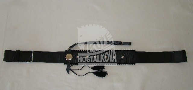 Náhřbetník popruhový