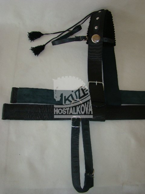 Postroj popruhový
