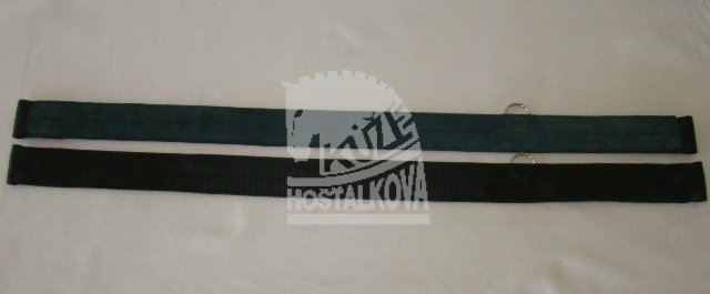 Poboček popruhový